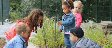 KDV 't Sprookjesland Lelystad B.V. foto 9