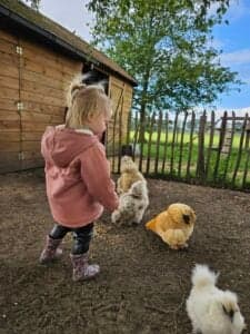 Bio Boerderij Pindakaas foto 4