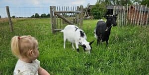 Bio Boerderij Pindakaas foto 6