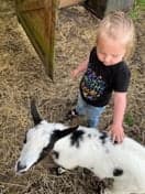 Bio Boerderij Pindakaas foto 10