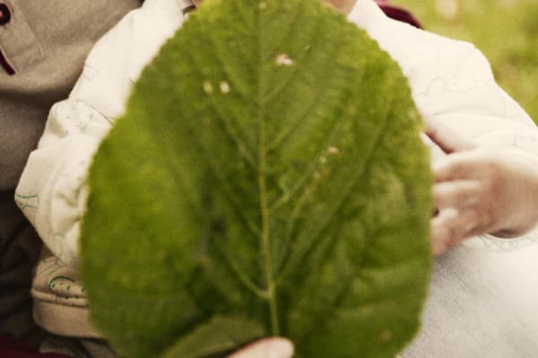 Kinderopvang De Gouden Koets 2