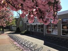 Kindcentrum De Kerkuil