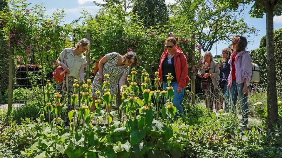 Groei en Bloei foto 6