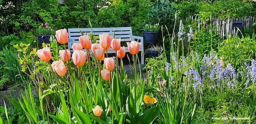 Groei en Bloei foto 7