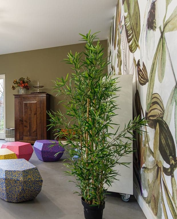 Kindercentrum Kids 'n Ko foto 9