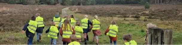 KC Little-Bee HoneyBeezz foto 5