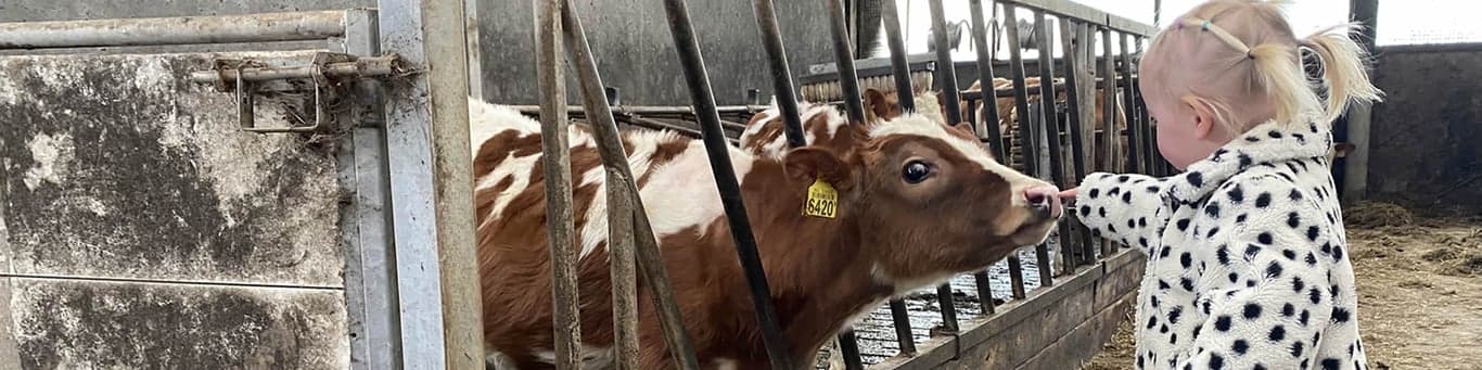 KDV Bij Boer Dolf foto 4