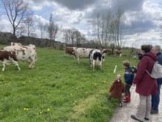 KDV Bij Boer Dolf foto 5