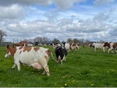 KDV Bij Boer Dolf foto 9