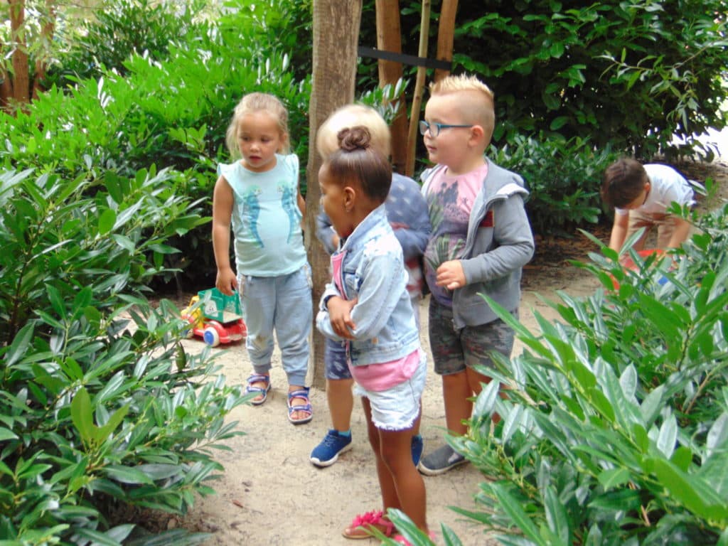 BSO IKC De Waterlelie