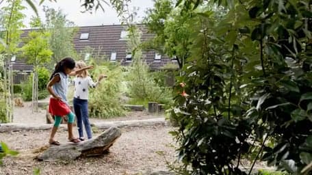 BSO IKC De Waterlelie 3