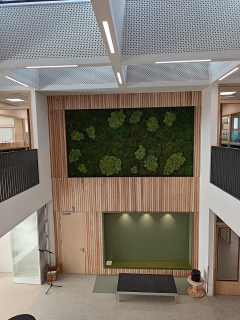 SkippyPepijn BSO Vlinderboom 3