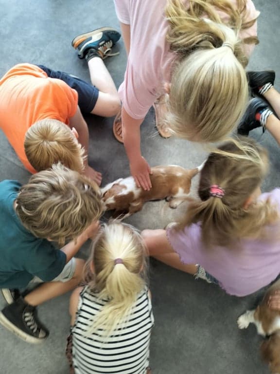 Kindcentrum De Koterclub, locatie KDV Azelo 3