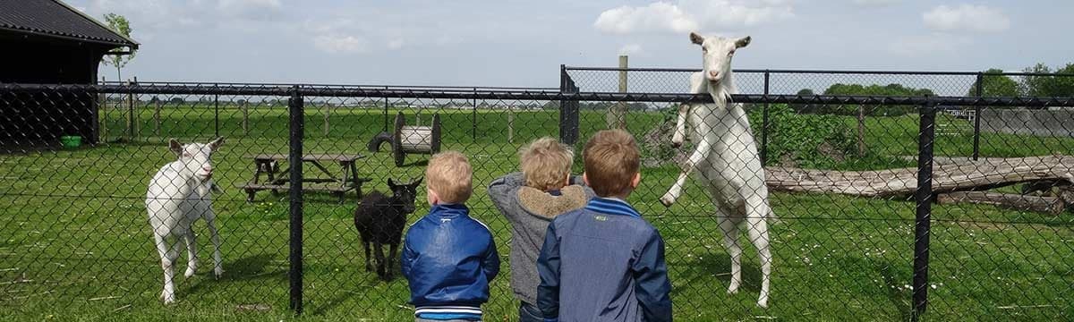 Het Tuinhuis, locatie Mendelweg 14a 3