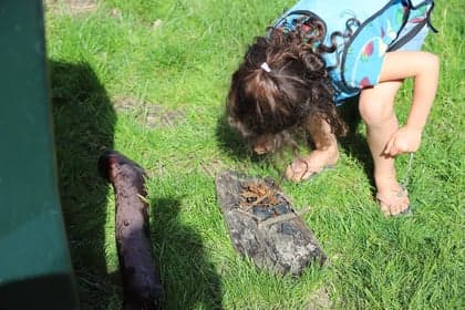 BSO de Beukelseberg - Lidwinaschool foto 9