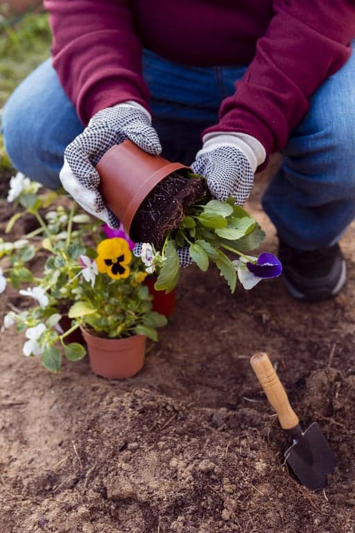 BieNeeke Peuteropvang/kinderopvang foto 9