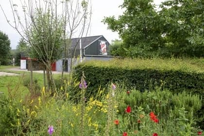 De Romeinen B.V. foto 6