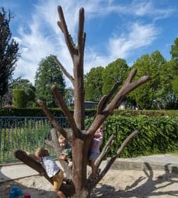 Trema Kinderopvang Veen Hardenbergh
