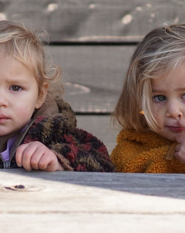 De Wiebelwagen B.V. foto 8