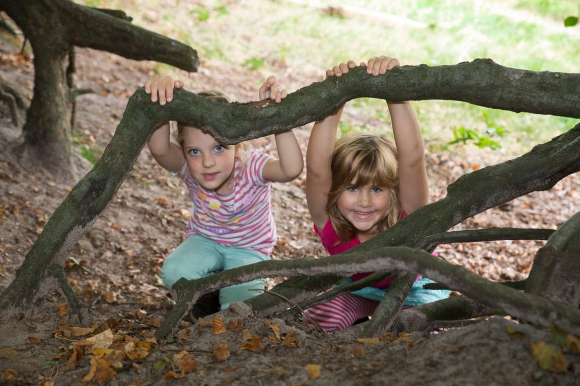 BSO De Buitenboel foto 5