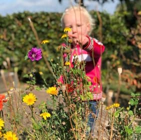 't Belhameltje foto 5