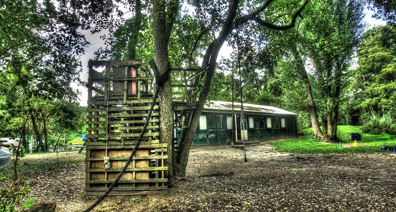 Monkey Moves BSO - Kees Boekelaan foto 9