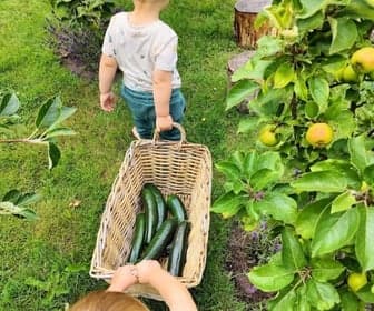 Kinderdagverblijf Aard-lief foto 7