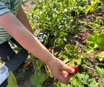 Kinderdagverblijf Aard-lief foto 8