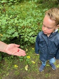 De Vrijbuiters-BSO 't Kippenhok foto 8