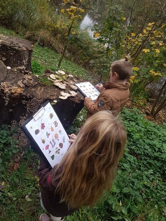 De Ballebende Rossum