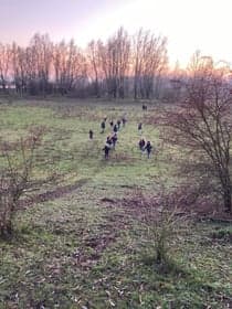 De Ballebende Rossum 2