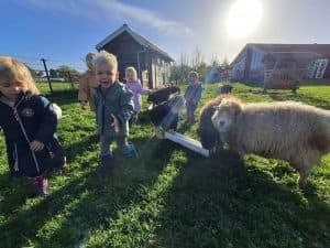 Kinderdagverblijf Pepeloentje V.O.F. 3