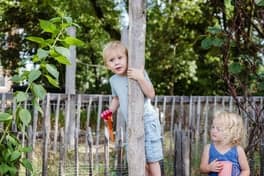 Bzzzonder Corlaer foto 6