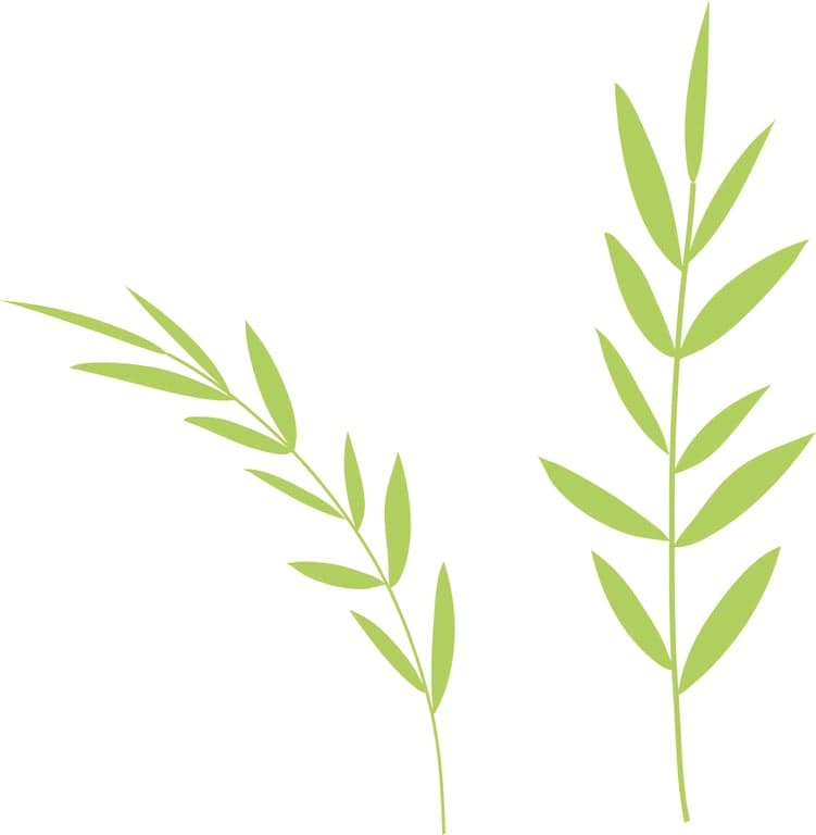 PUUR Kinderopvang B.V. foto 10