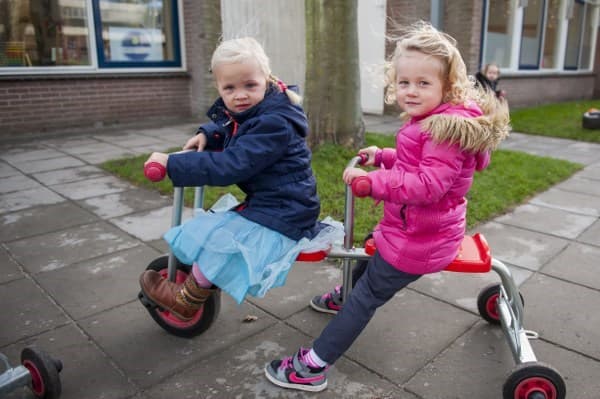 't Maanvliegje foto 4