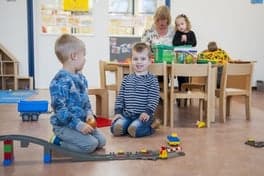 't Maanvliegje foto 5