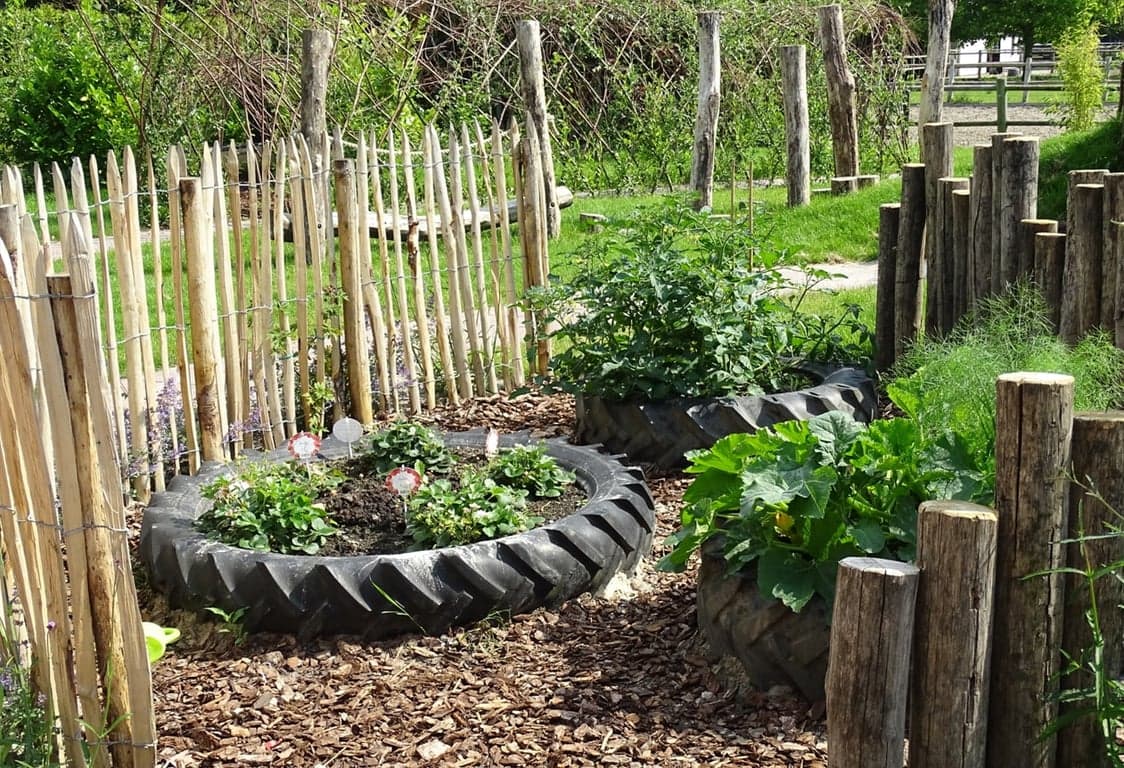 Kinderopvang Max het Musje foto 5