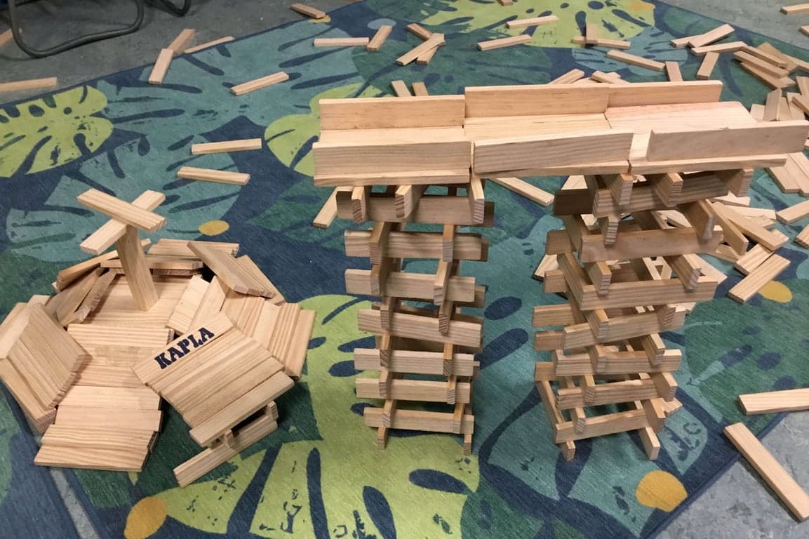 De Grote Prins foto 6