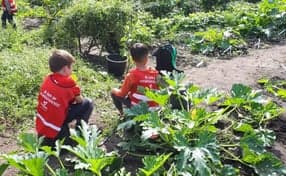 De Grote Prins foto 8