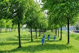 Kindcentrum De Stern 3