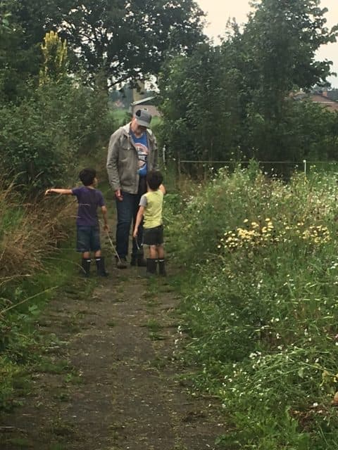 Het Vlinderhofje foto 7