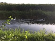 Het Vlinderhofje foto 8