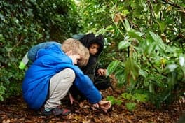 De Zwerfkeien foto 8