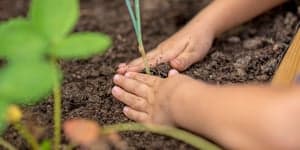 KDV Norlandia kinderopvang, MFA Het Spoor foto 5