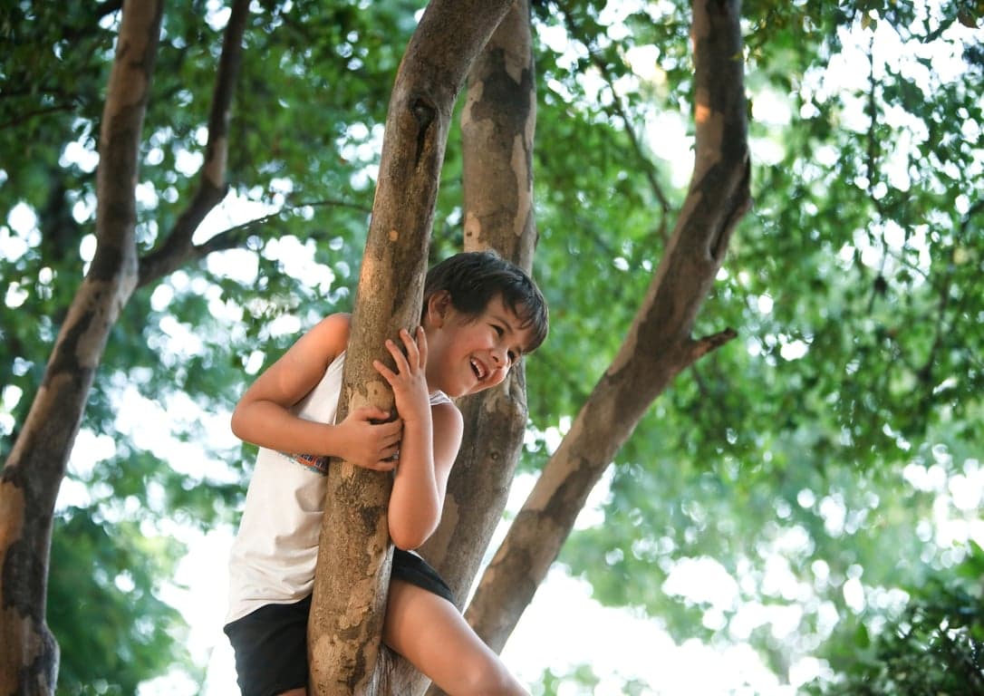 BSO De Zijlwatering foto 8