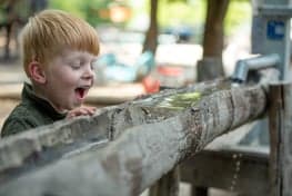 MikMak van Loonlaan 3