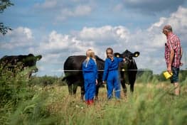 MikMak van Loonlaan foto 10