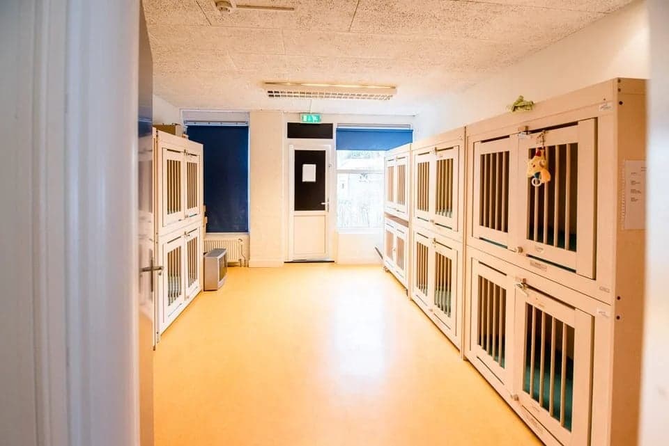 Kindercentrum Binnenste Buiten 2