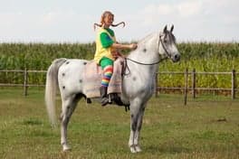 Het Vossenhol foto 4