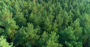 WildWoozt Eindhoven AV foto 4